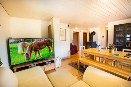 Wohnbereich der Ferienwohnung im Scheuermatthof mit Kaminofen, Heimkino und Ausblick